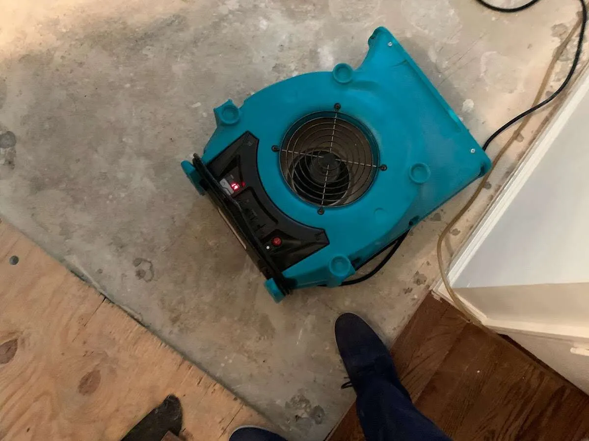 Air mover drying subfloor during Leak Detection & Repair in Marysville