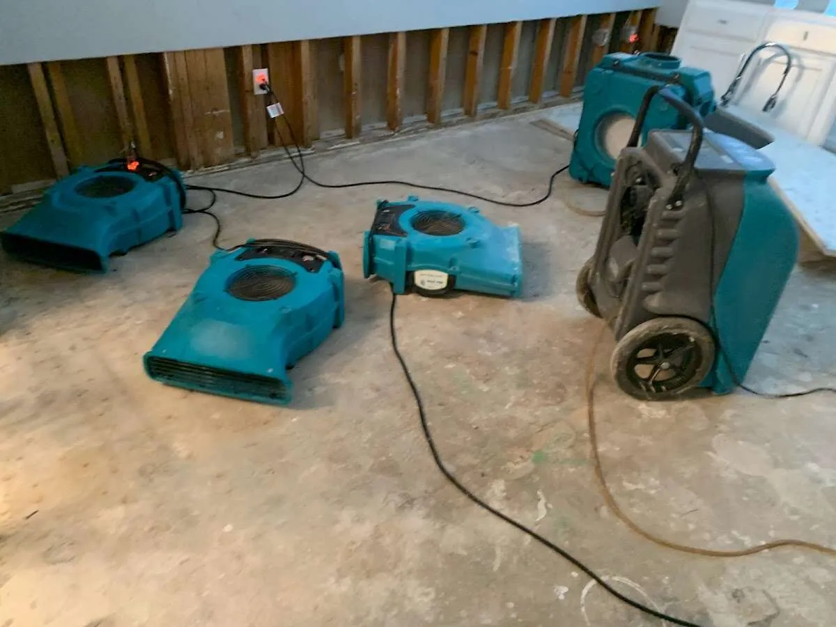 Drying & Dehumidification in Marysville, CA